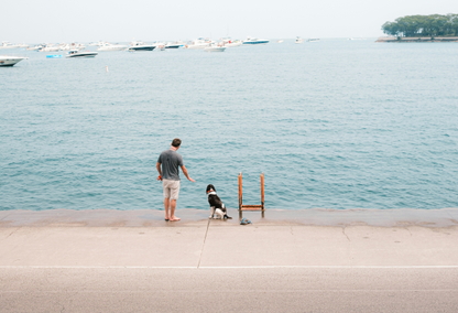 man and dog looking at the ocean